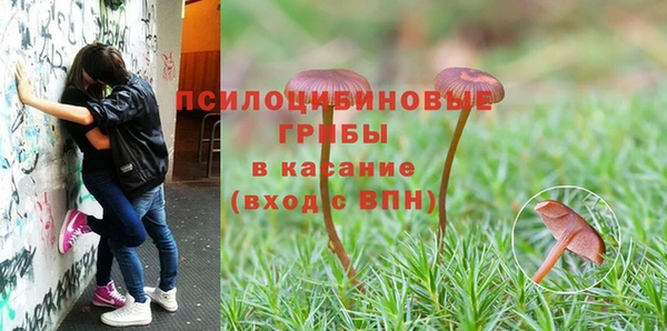 2c-b Магас