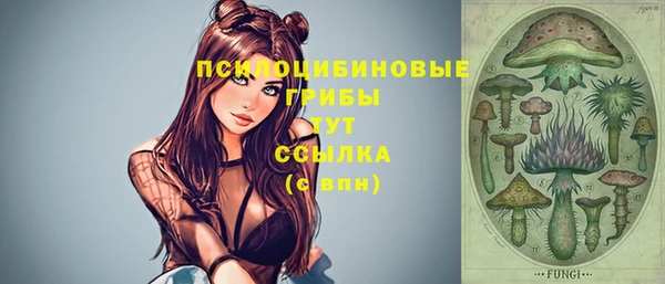 MDMA Premium VHQ Богородск