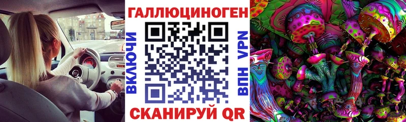 дарк нет Telegram  Пыть-Ях  Галлюциногенные грибы прущие грибы 