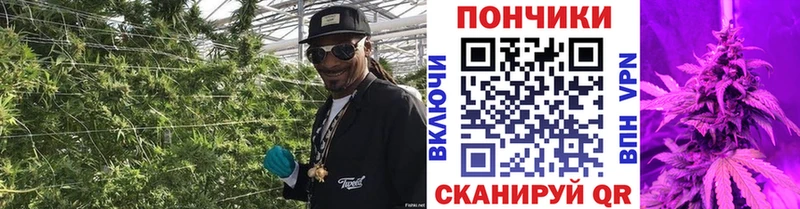 Каннабис ГИДРОПОН закладка Пыть-Ях